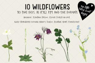 10 Wildflowers Graphics and Illustrations Review