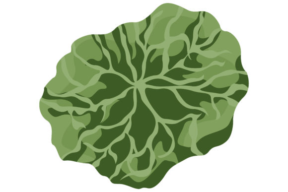 Fresh Green Leaf of Petunia Flower 159 Graphics and Illustrations Review