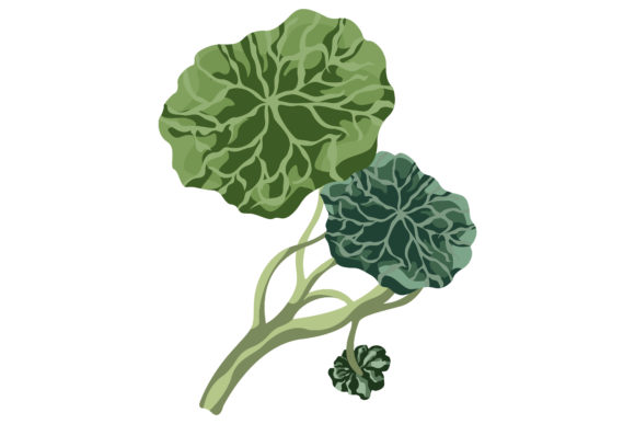 Fresh Petunias 161 Graphics and Illustrations for Modern Blogs