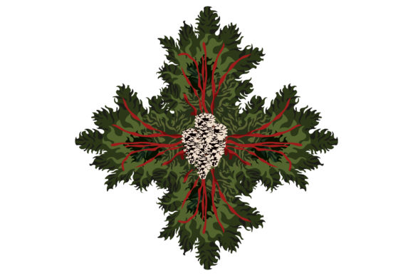 Impressive Christmas Wreath 227 Graphics and Illustrations Review