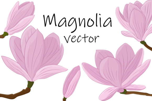 Magnolia Vector Embroidery Review