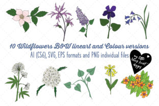 Wildflowers Lineart Graphics and Illustrations Review